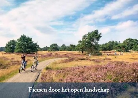 住宿加早餐酒店 La Petite