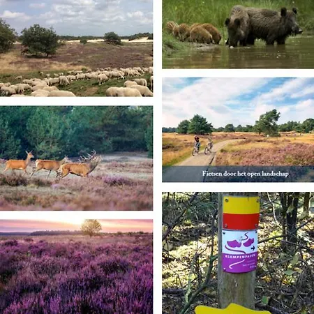 La Petite 住宿加早餐酒店 3*