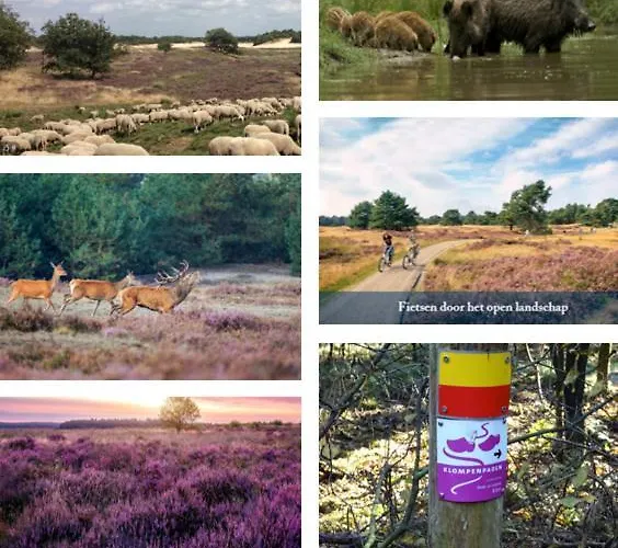 La Petite Bed and breakfast 3*